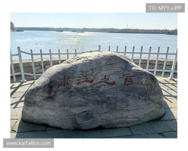 如何设置ag厅k8登录线路,快速实现无障碍登录体验